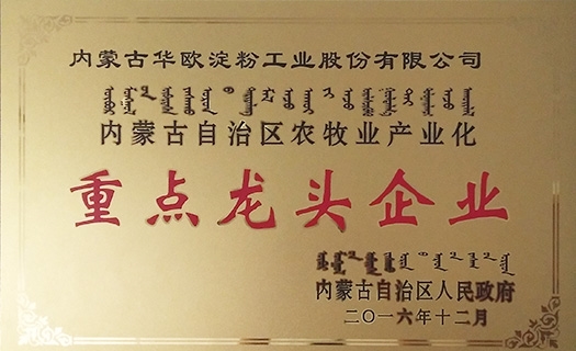 內蒙古自治區重點(diǎn)龍頭企業(yè)牌匾